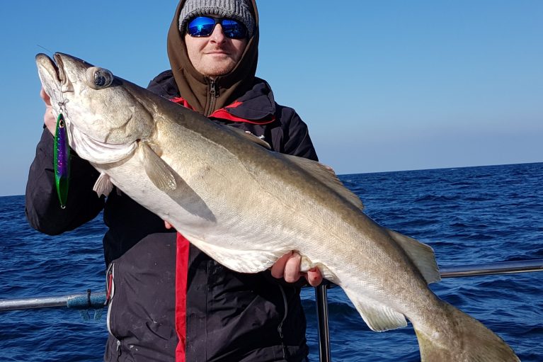20lb pollock caught whilst wrecking using SPJ a 20lb pollock caught whilst wrecking using SPJ