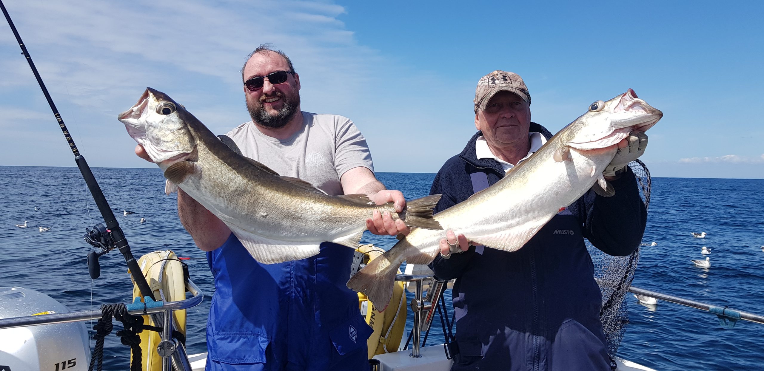 A brace of fine pollock