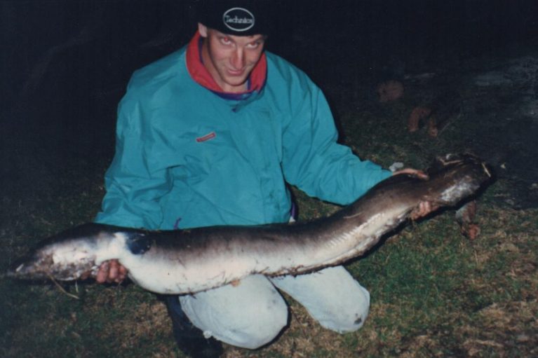eel-e1514723058932-767x511 eel-e1514723058932-767x511